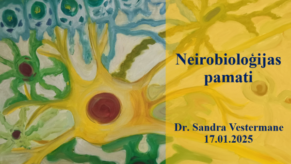 neirobiologijas-pamati